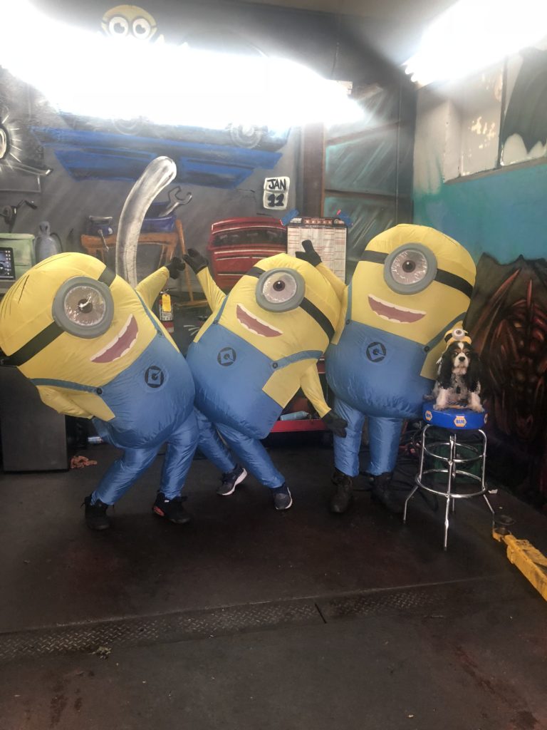The Master Mechanic team dresses up as Minions for halloween