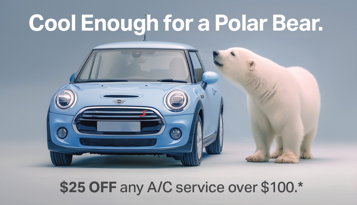 Cool Enough for a Polar Bear - $25 OFF any A/C service over $100*